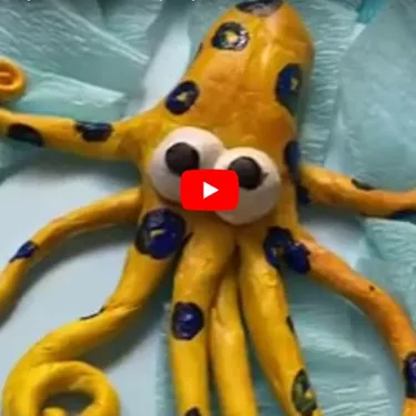 Octopus