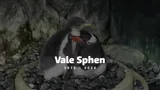 Celebrating The Life Of Sphen V4 (1080P) Frame At 0M3s