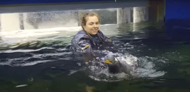 Sphengic Swimming