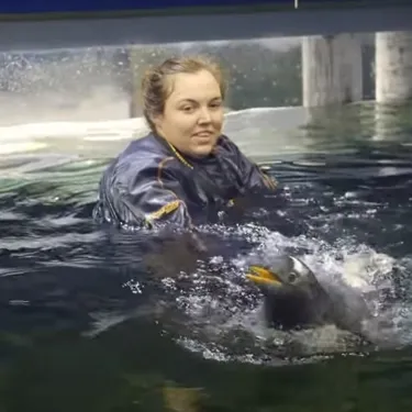 Sphengic Swimming
