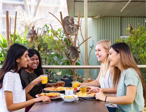 Koala Breakfast 1