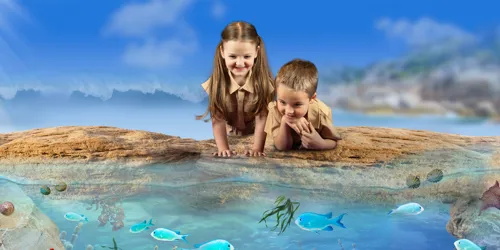 Rockpool Ranger Web Banner (1)