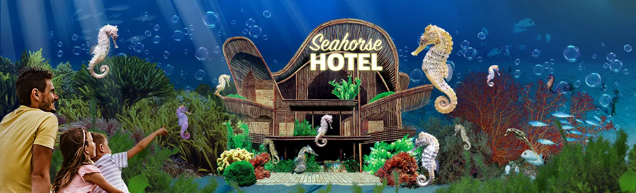 SL Seahorses Weblanding 1280X390px