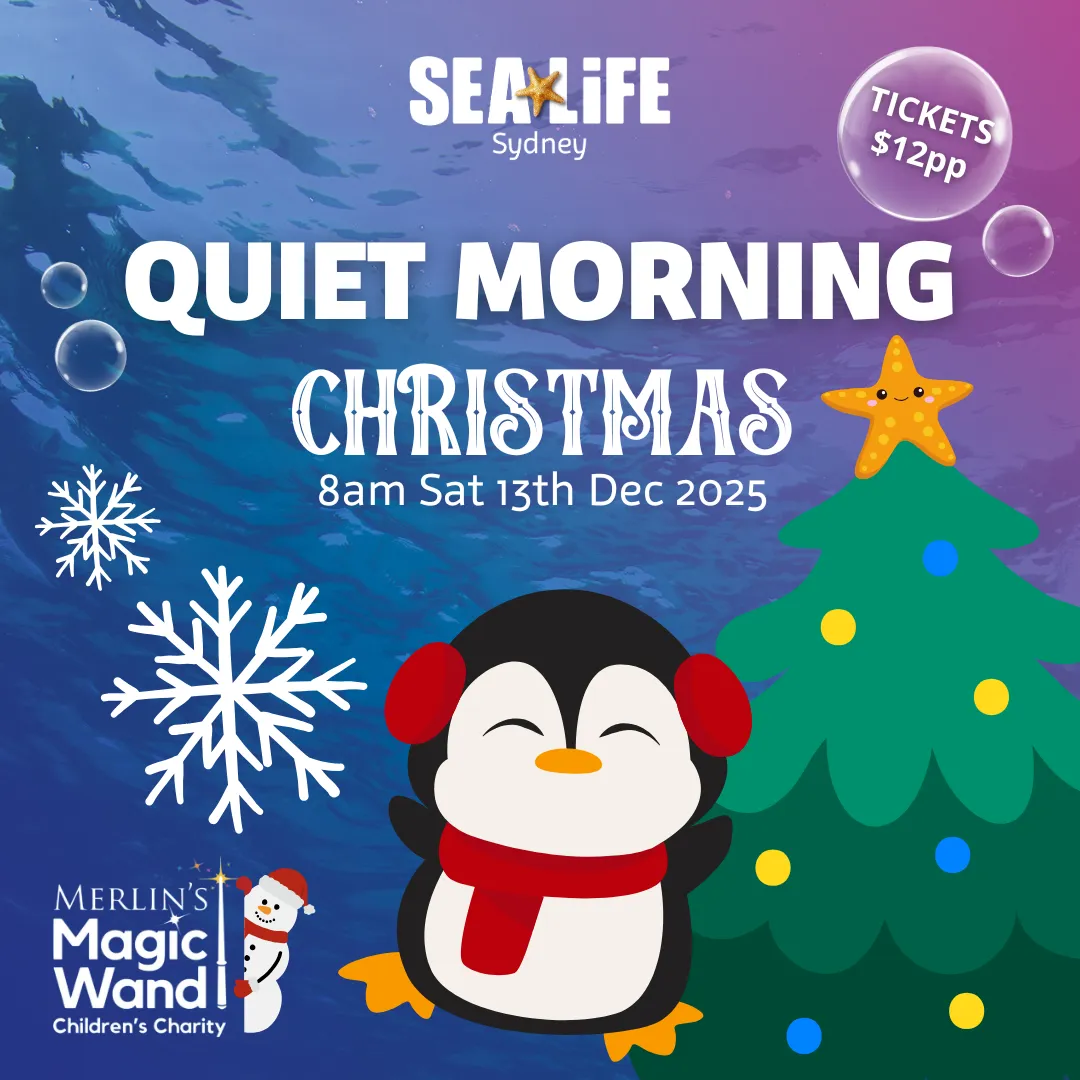 QUIET MORNING (Christmas)