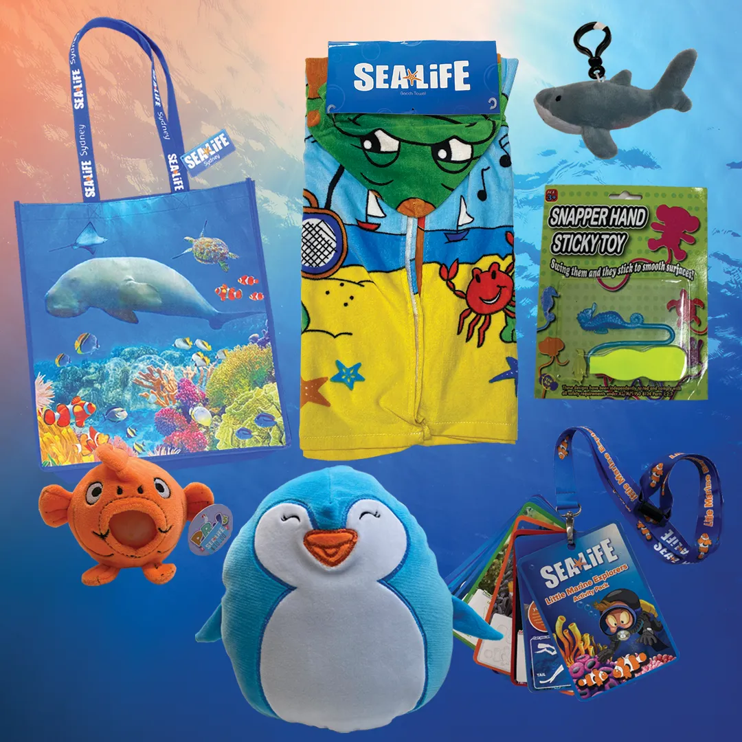Sea life aquarium store on sale
