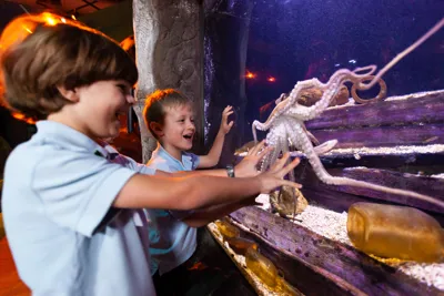 IMG 2990 Boys And Octopus