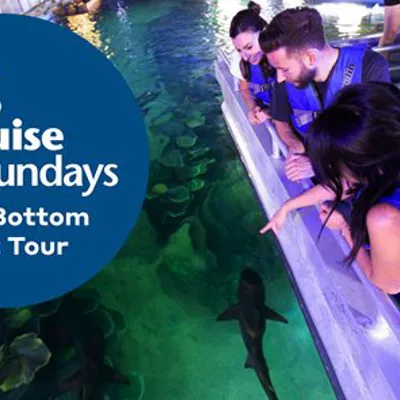Whitsundays Glass Bottom Boat Tour