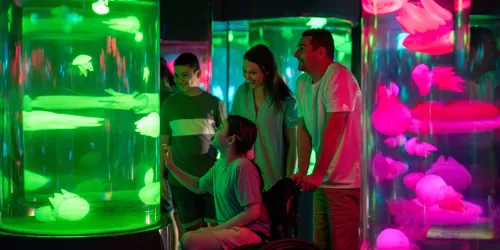 SL International Wheelchair Day 1