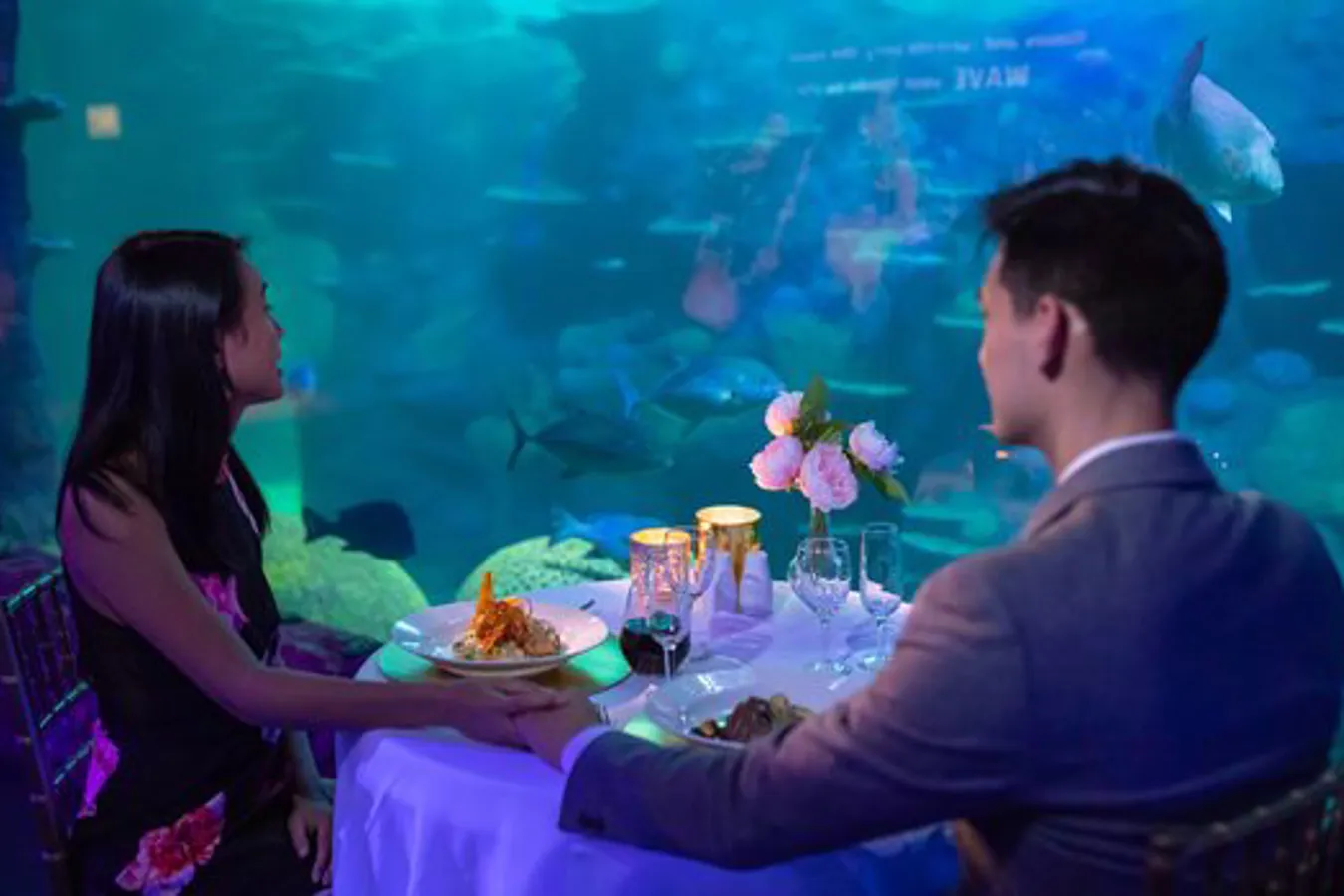 Private Dining at SEA LIFE Aquarium SEA LIFE Sydney