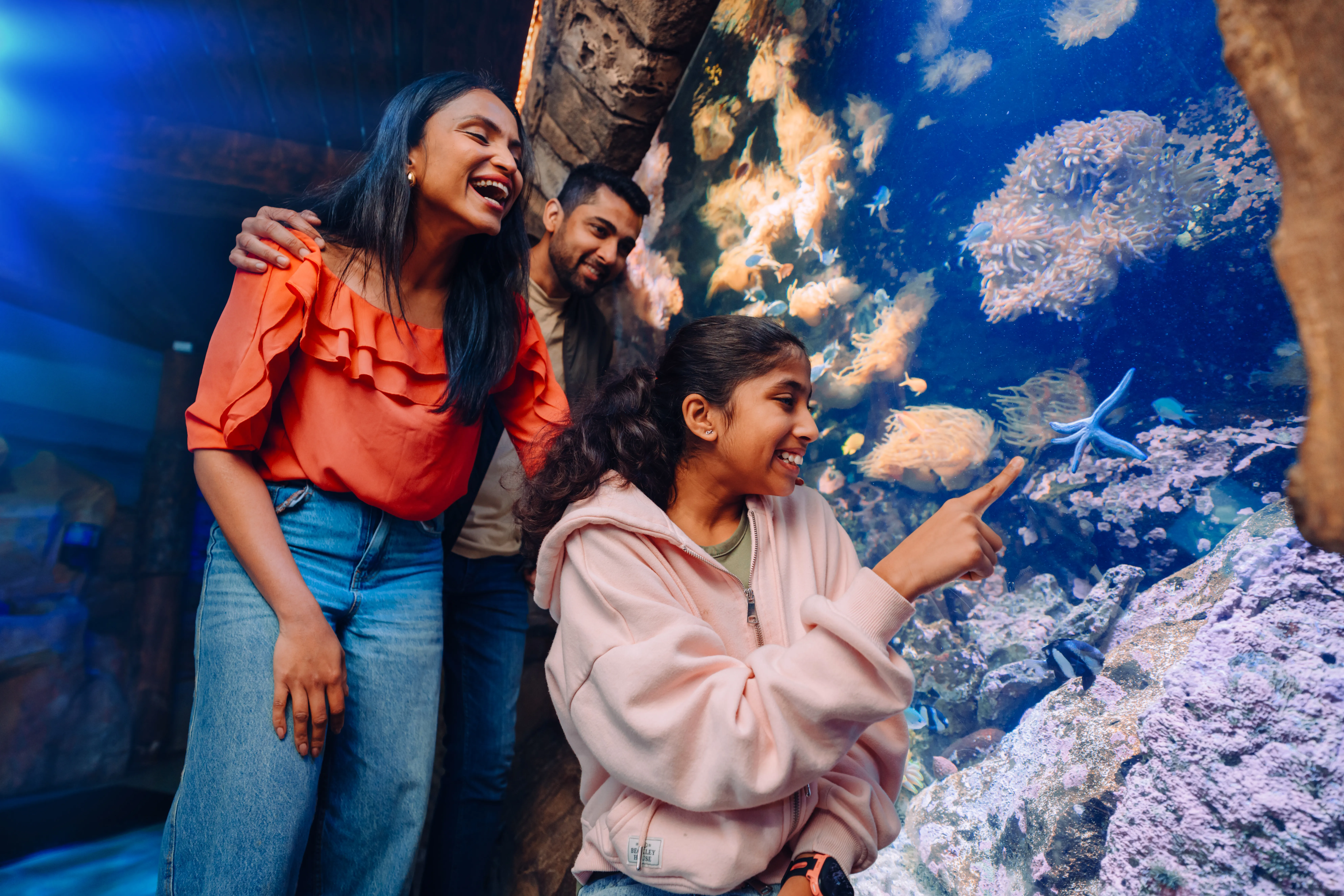 00006 SLSA Rockpool Ranger 2025 [USE GLOBAL] [EXP INPERP] Family Exploring Starfish