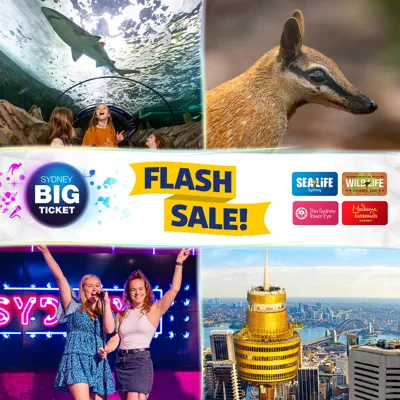 CLUSS Flashsale 1080X1080px Instasquare