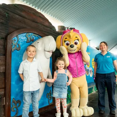 PAWPATROL WLSZ SL 62