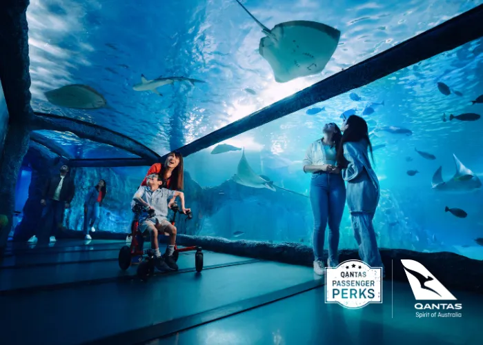 Qantas SEA LIFE Sydney (1)