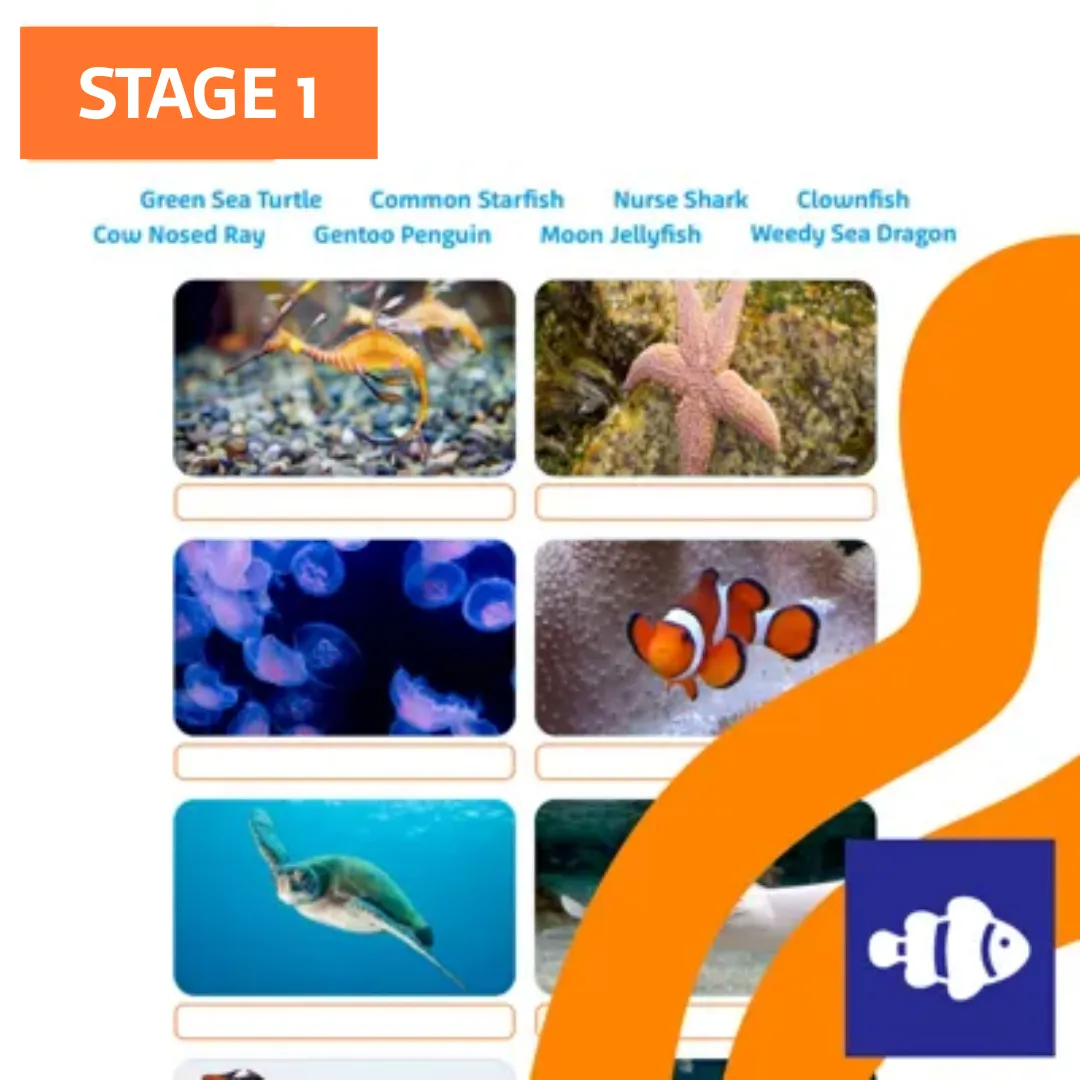 Meet Our Sea Life Creatures