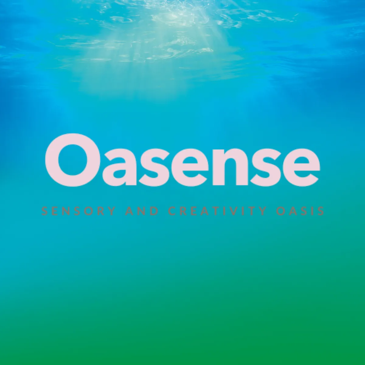 SLSA Partnerlogos Oasense