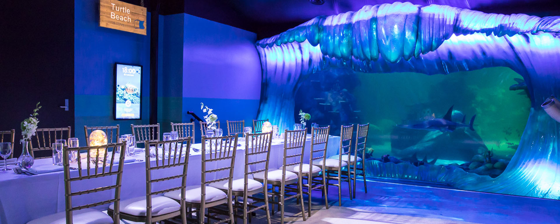 Sydney Aquarium Weddings at SEA LIFE 
