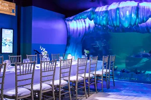 Sydney Aquarium Weddings at SEA LIFE 