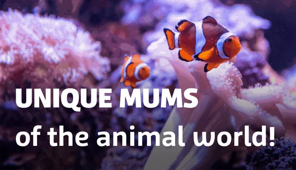 UNIQUE MUMS Of The Animal World!