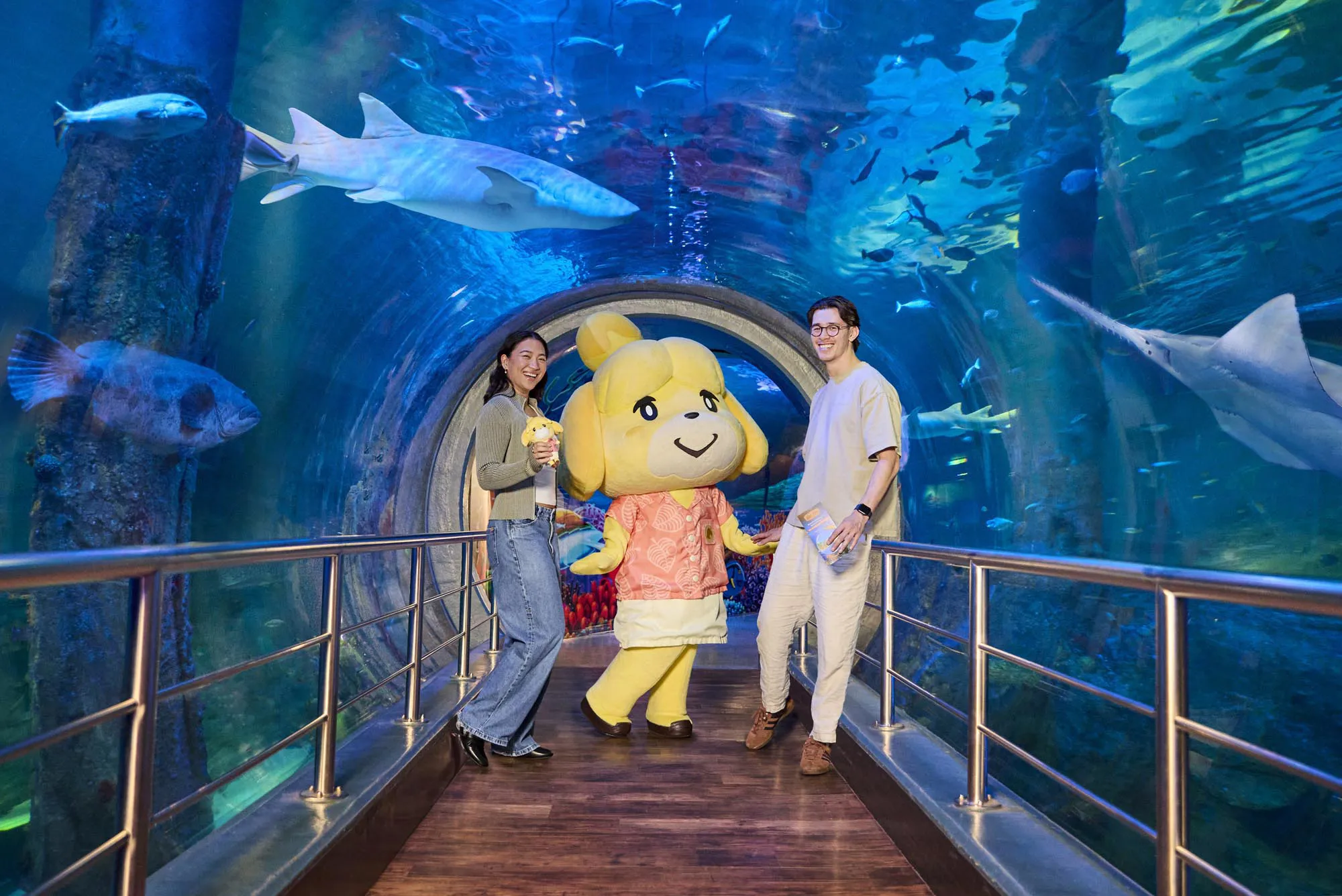 KP 001 Animal Crossing 260526