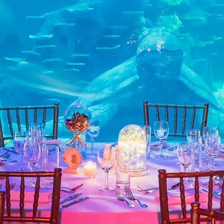 Events SLSA 0007 Dinner Table