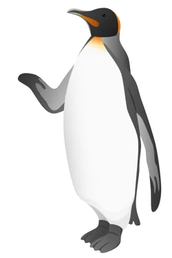 animation image