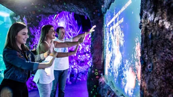 Interactive Projection Lightshows Showcase The Rare Phenomenon Of Coral Spawning