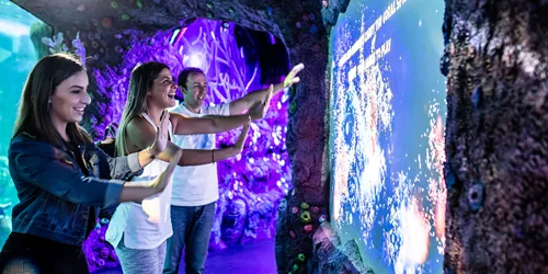 Interactive Projection Lightshows Showcase The Rare Phenomenon Of Coral Spawning