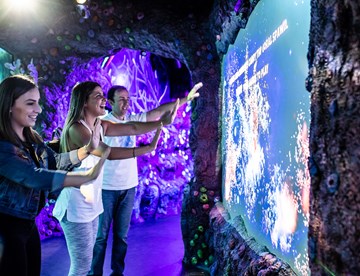 Interactive Projection Lightshows Showcase The Rare Phenomenon Of Coral Spawning