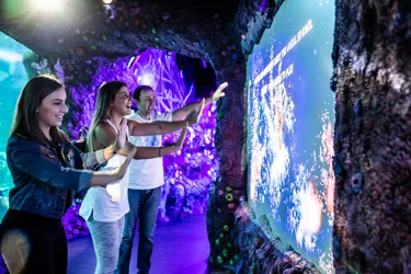 Interactive Projection Lightshows Showcase The Rare Phenomenon Of Coral Spawning