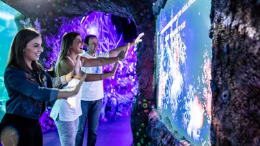 Interactive experiences at Day & Night on the Reef Zone