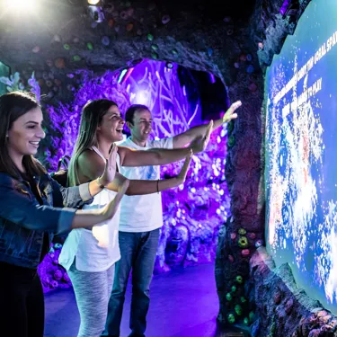 Interactive experiences at Day & Night on the Reef Zone