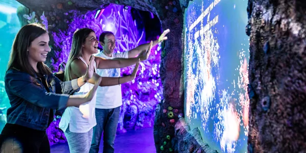 Interactive experiences at Day & Night on the Reef Zone