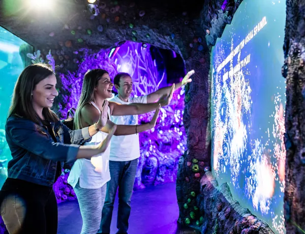 Interactive experiences at Day & Night on the Reef Zone
