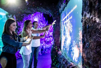 Interactive Projection Lightshows Showcase The Rare Phenomenon Of Coral Spawning