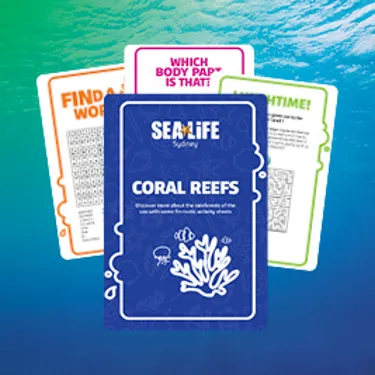 ACTIVITY BOOKLET IMAGES
