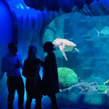 Networking Events Sea Life Sydney Aquarium