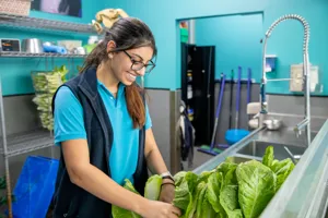 SLSA Aquarist Threading Lettuce For Pig The Dugong