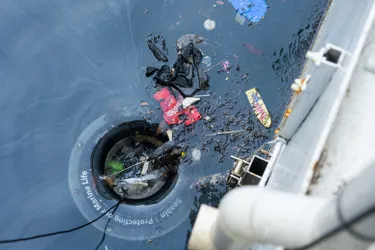 SEA LIFE Sydney Aquarium Seabin In Action2