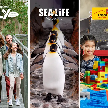 VIC Attraction Image (1)