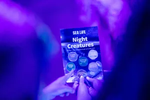 Nightcreatures 65