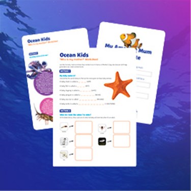 ACTIVITY BOOKLET IMAGES7