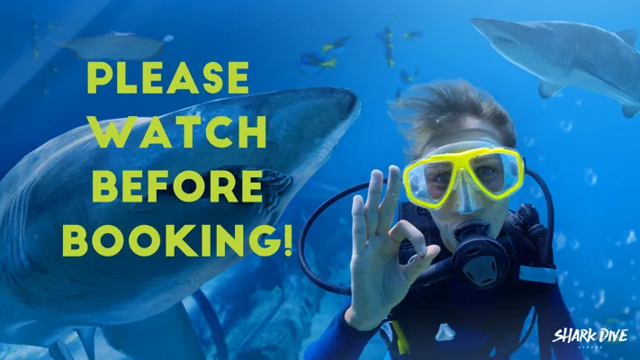 PLEASE WATCH BEFORE BOOKING! (1)