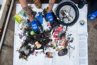 SEA LIFE Sydney Aquarium Seabin Catch Top View