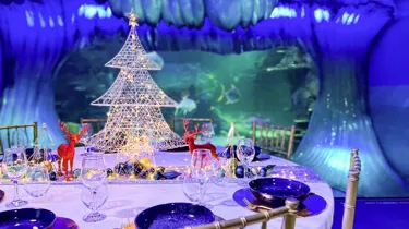 Christmasataquarium2 Light