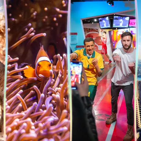 Website Header Cluster 1920X1080