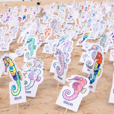 Miniseahorses.Decoratedbychildreninproject.Humble