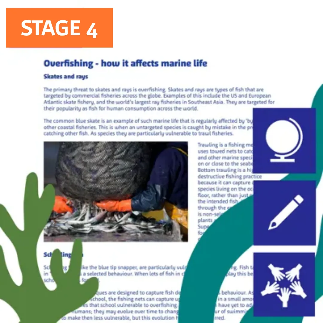S4 Animals In Danger Overfishing
