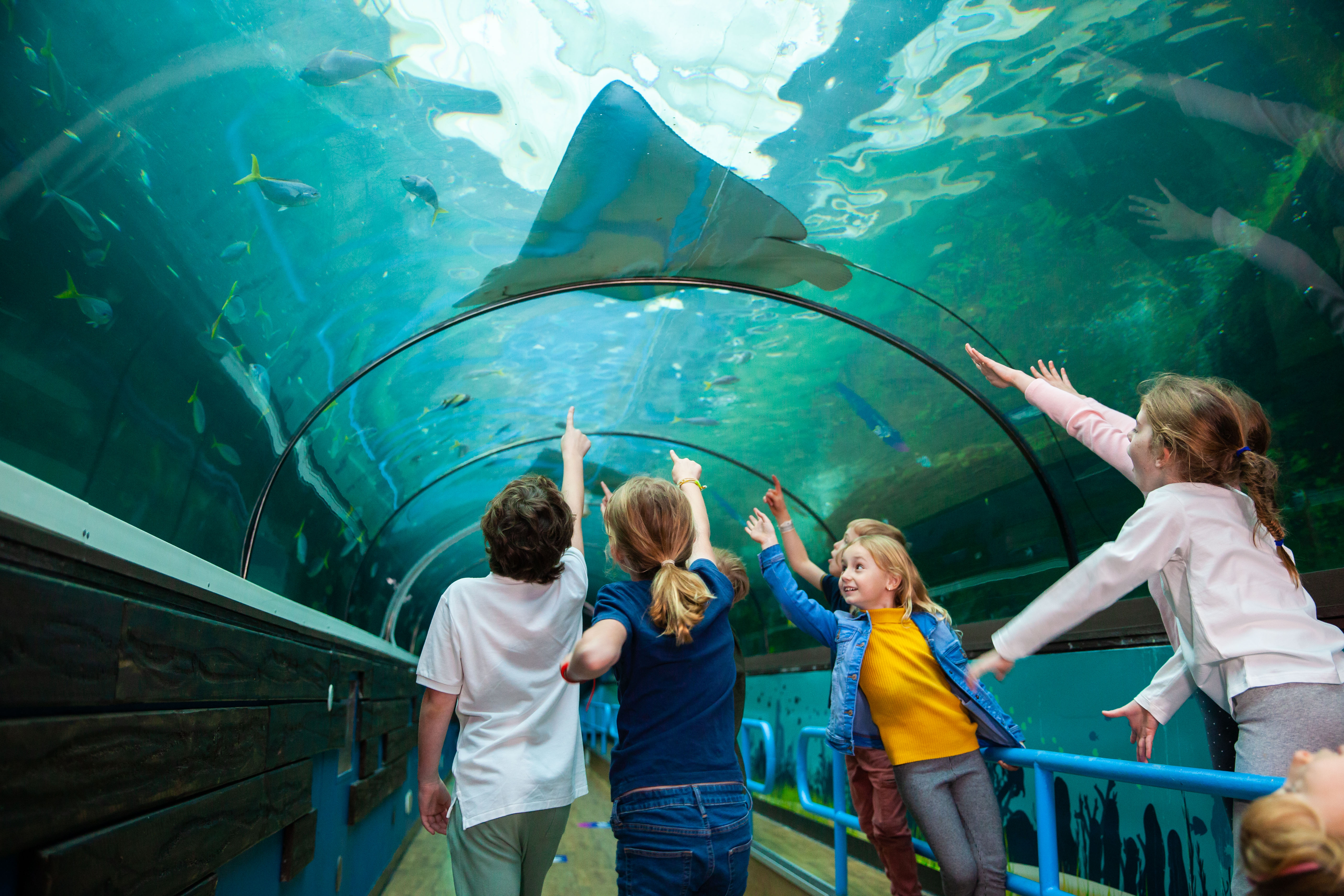 Family summer activities at SEA Life Aquarium Sydney