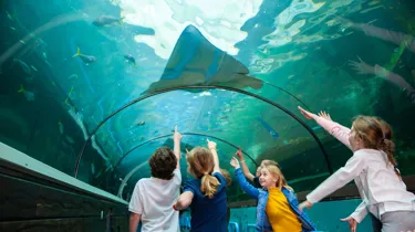 Family summer activities at SEA Life Aquarium Sydney