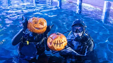 Divers (L To R Mitch Thornton & Tom Burd) Prepare To Dive With Pumpkins